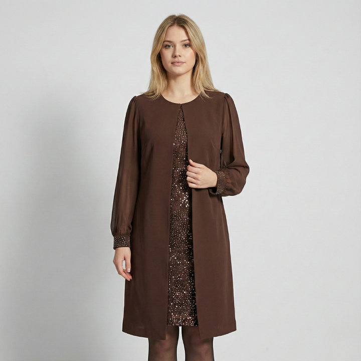Geovari | Sheer-Sleeve Dress